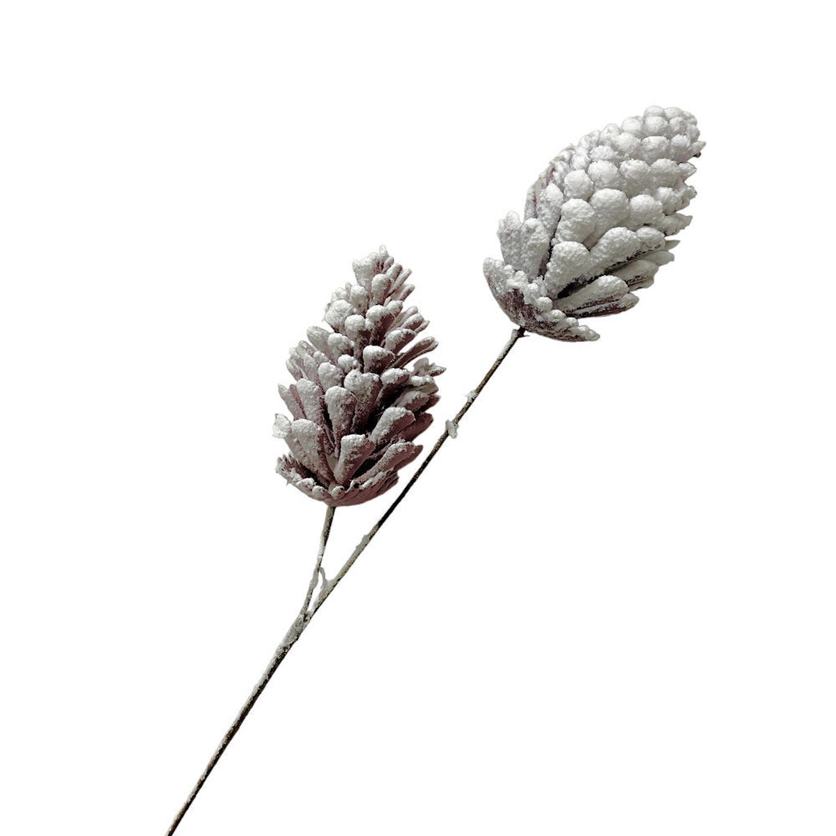 2pc Pinecone Stem with Snow Finish 55cm
