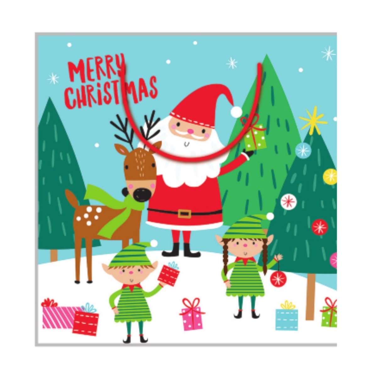 Bag Gnt Sq Xmas Snta N Frnds